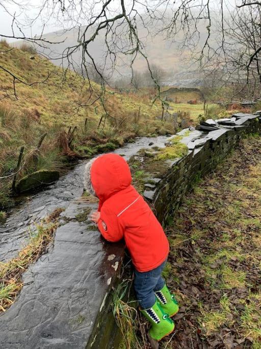 Yr Hen Siop - 4 Bed Welsh Cottage In Snowdonia Penmachno Ngoại thất bức ảnh