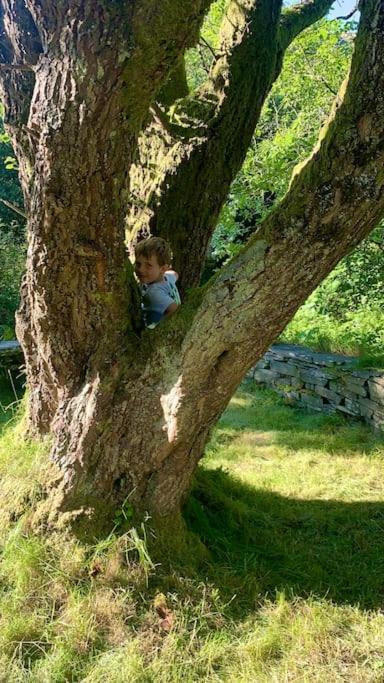 Yr Hen Siop - 4 Bed Welsh Cottage In Snowdonia Penmachno Ngoại thất bức ảnh